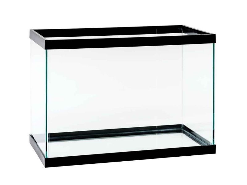 20-gallon fish tank will be the best deal place for goldfish 